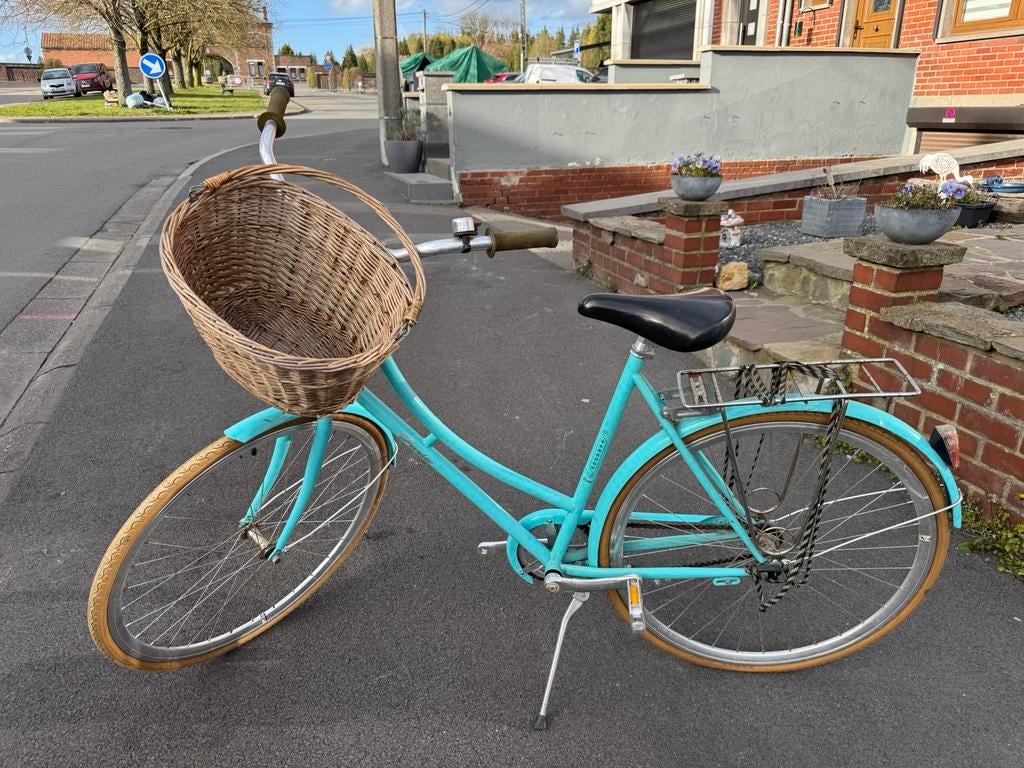 Velo de ville vangogh, Enlèvement, Utilisé, Autres marques