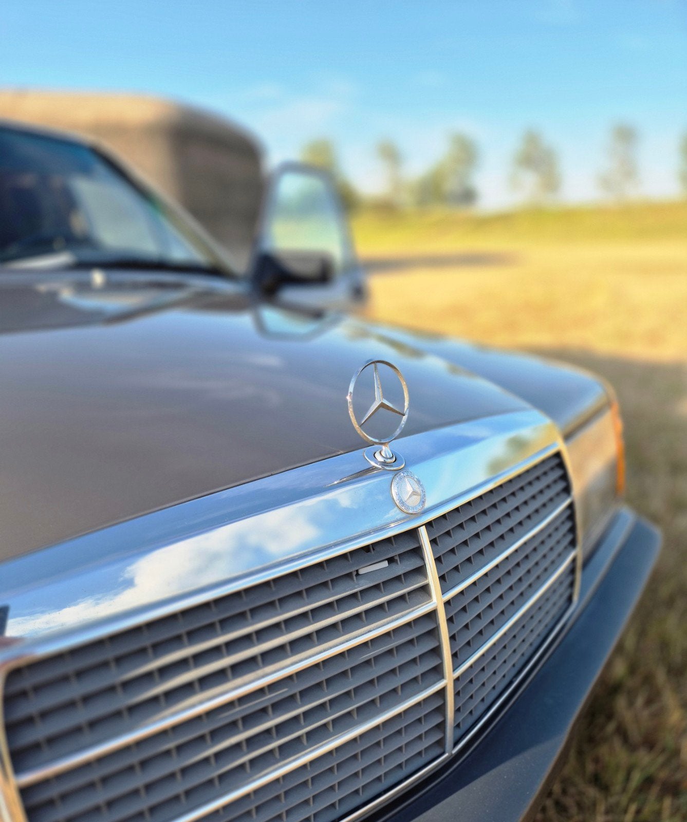 190e Mercedes-Benz oltimer, Enlèvement, Mercedes-Benz