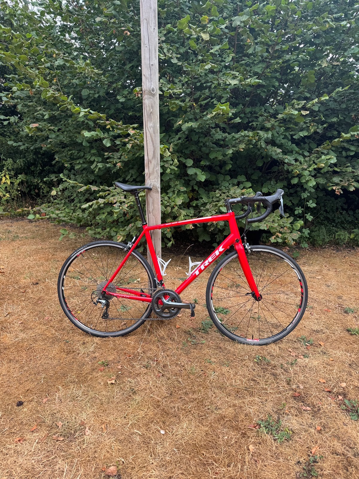 Trek emonda alr6 60, Ophalen, Gebruikt, 10 tot 15 versnellingen, Velgrem