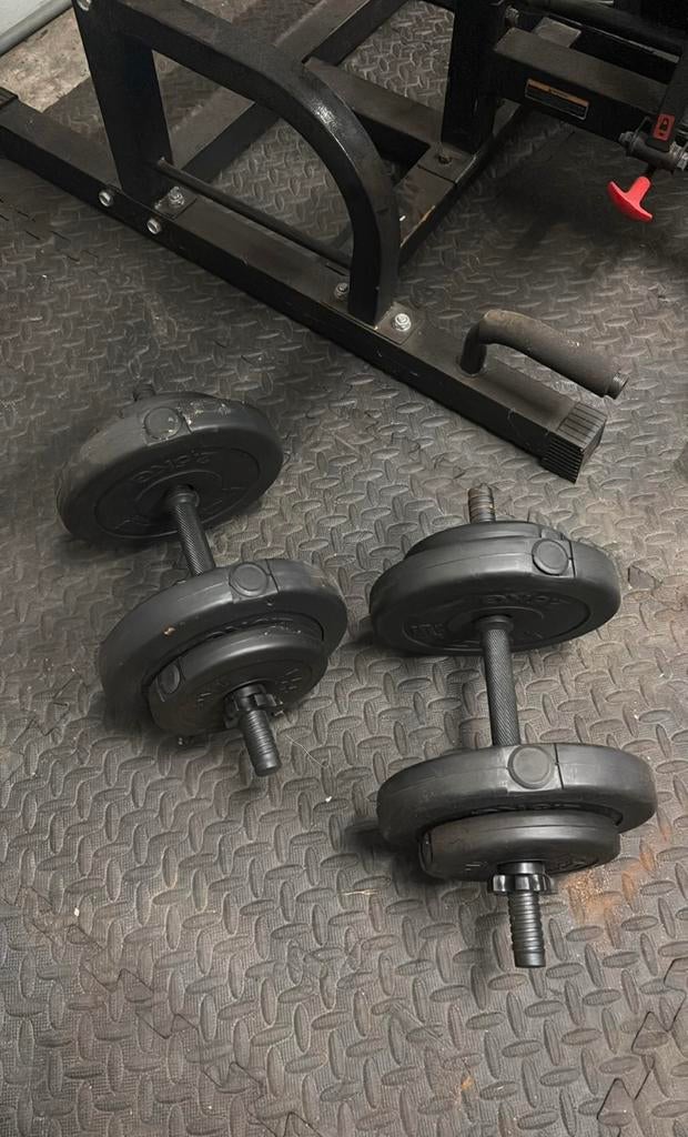 Verstelbare Dumbbellset, Ophalen, Zo goed als nieuw, Halterschijven