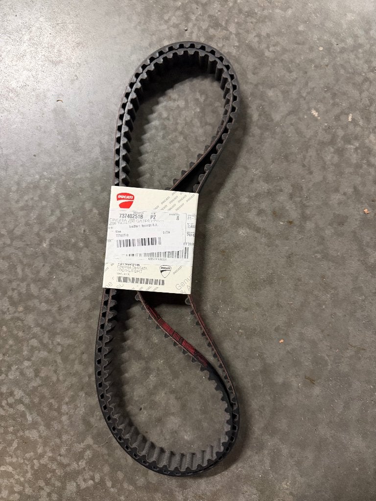 Ducati timing belts 73740251B, Motos, Enlèvement, Neuf