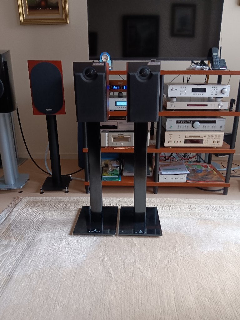 Beaux haut-parleurs de bibliothèque, Enlèvement, Comme neuf, 60 à 120 watts, Enceinte d'étagère