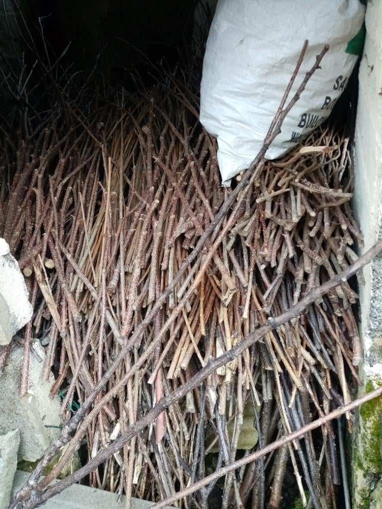 À donner : branches et tiges d'arbre pour déco., Enlèvement, Utilisé