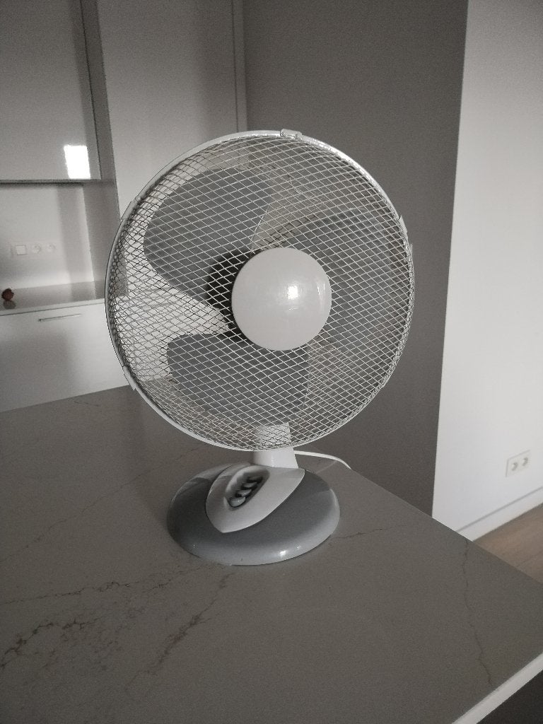 Petit Ventilateur, Electroménager, Enlèvement, Utilisé