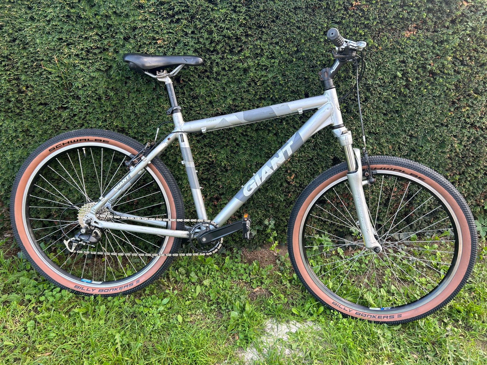 Mtb Gaint Rincon - vintage custom build, Ophalen, Zo goed als nieuw, Giant