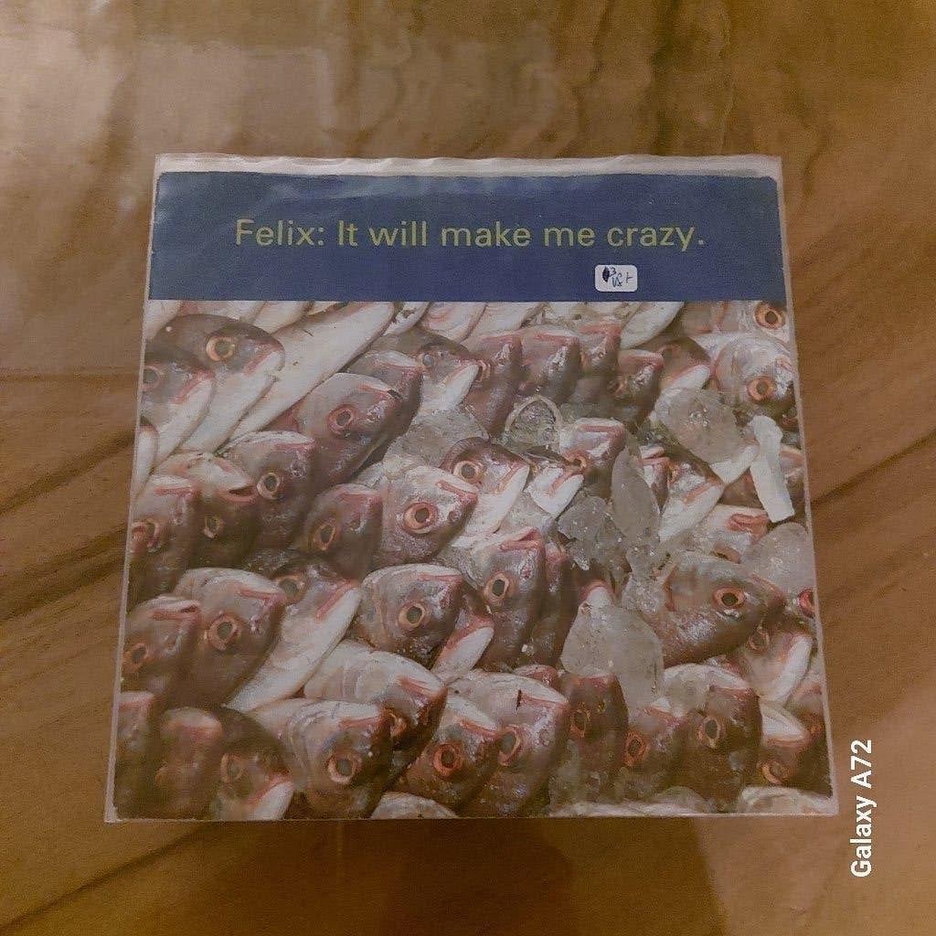 felix it will make me crazy, CD & DVD, Enlèvement ou Envoi, 7 inch, Utilisé, Pop