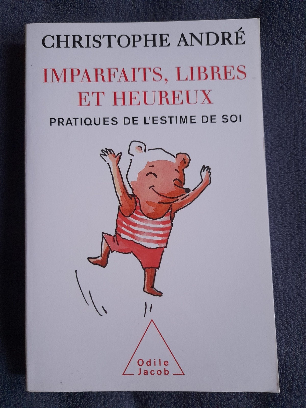 "Imparfaits, libres et heureux", Enlèvement ou Envoi, Neuf, Christophe andre