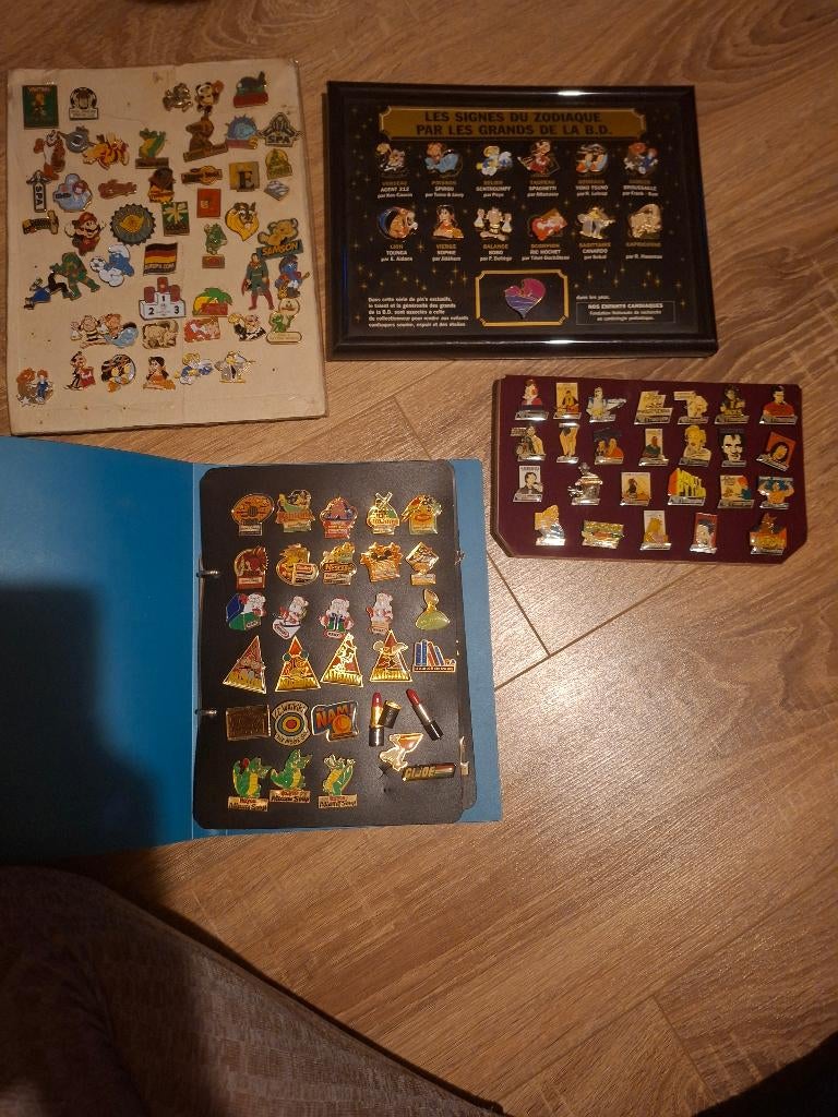 Pins, Enlèvement, Neuf, Insigne ou Pin's