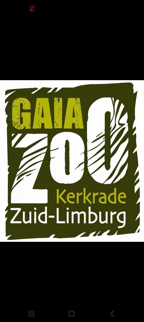4 Tickets Gaia Zoo Kerkrade- Nederland, Tickets & Billets, Loisirs | Jardins zoologiques, Trois personnes ou plus, Ticket ou Carte d'accès