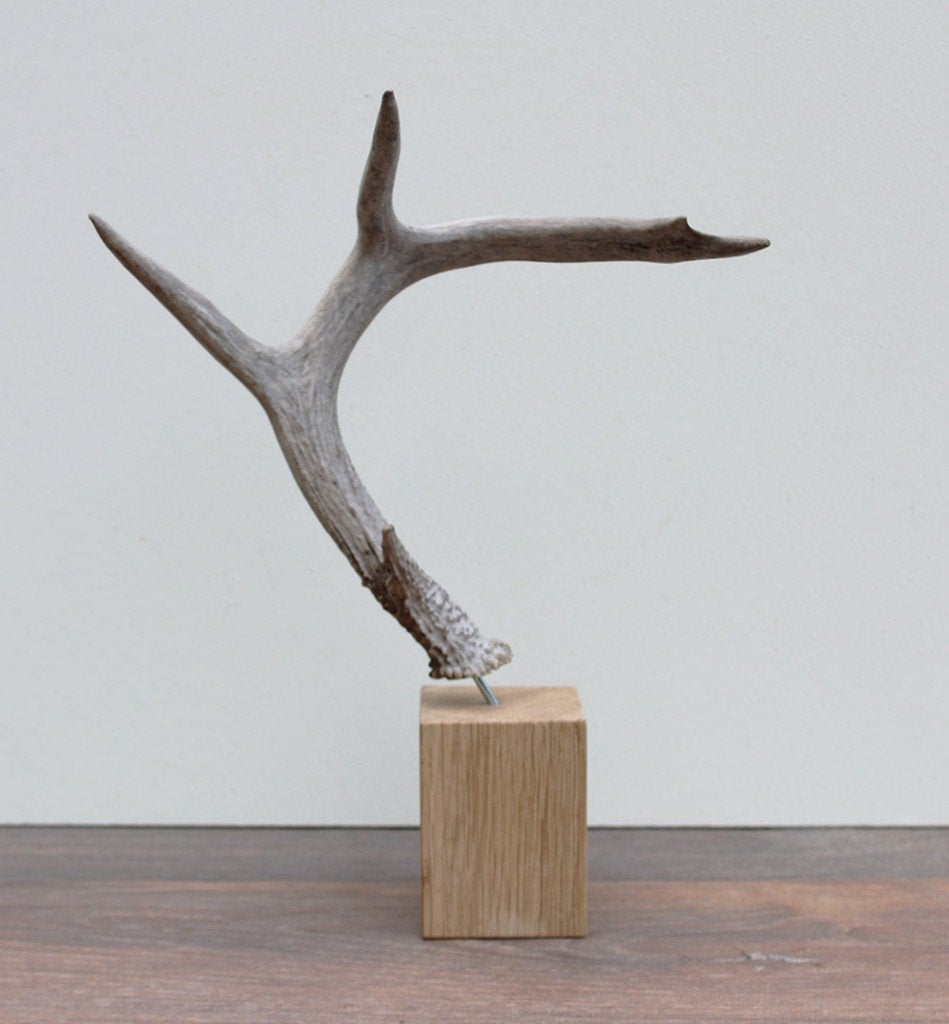 GEWEI WITSTAART HERT op houten sokkel, Collections, Collections Animaux, Neuf, Bois ou Tête, Cerf, Enlèvement ou Envoi