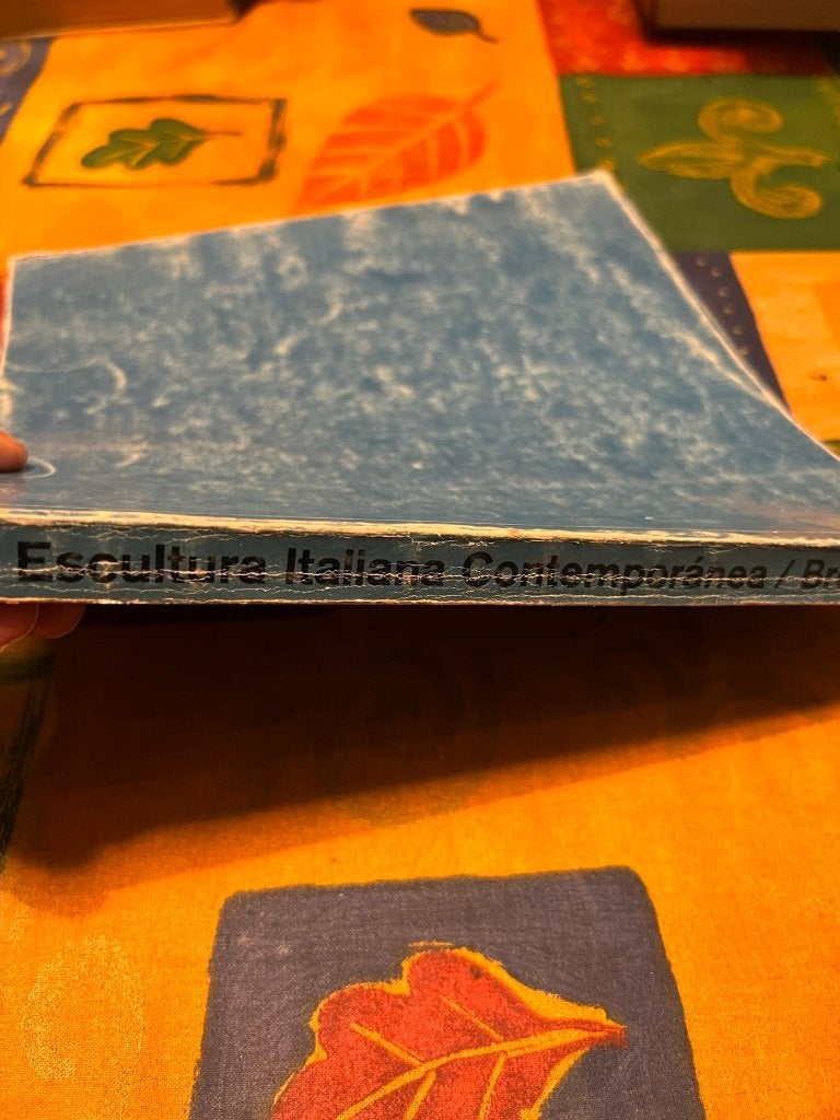 Zeldzaam kunstboek Escultura Italiana Contemporanea / Bronce, Boeken, Ophalen of Verzenden, Gelezen, Overige onderwerpen