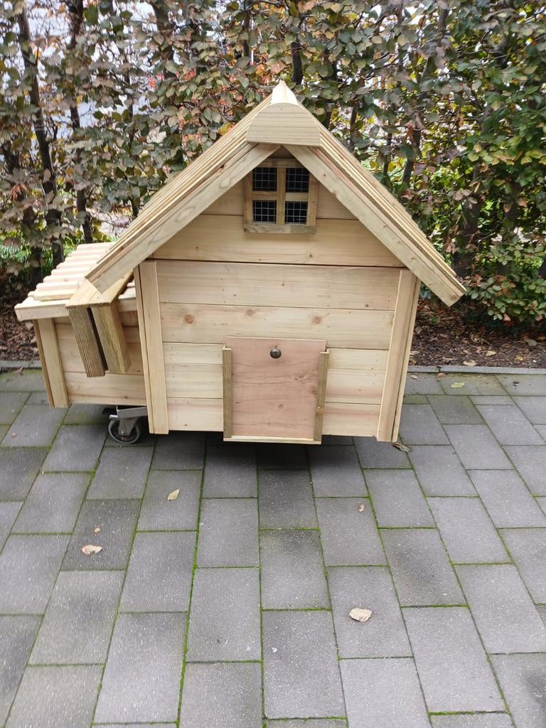 Stevige kippen hokken, Enlèvement