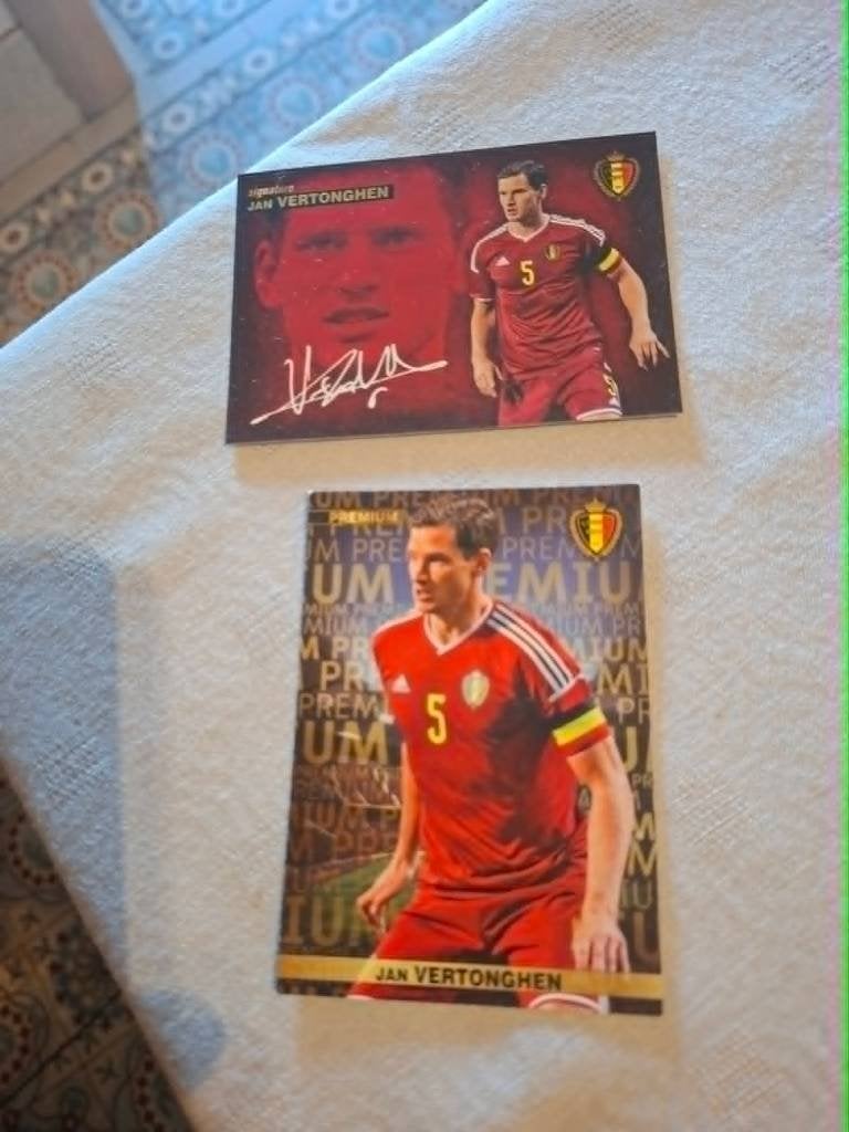 Panini / 2 Voetbalkaarten / Jan Vertonghen / Rode Duivels, Ophalen of Verzenden, Zo goed als nieuw, Spelerskaart
