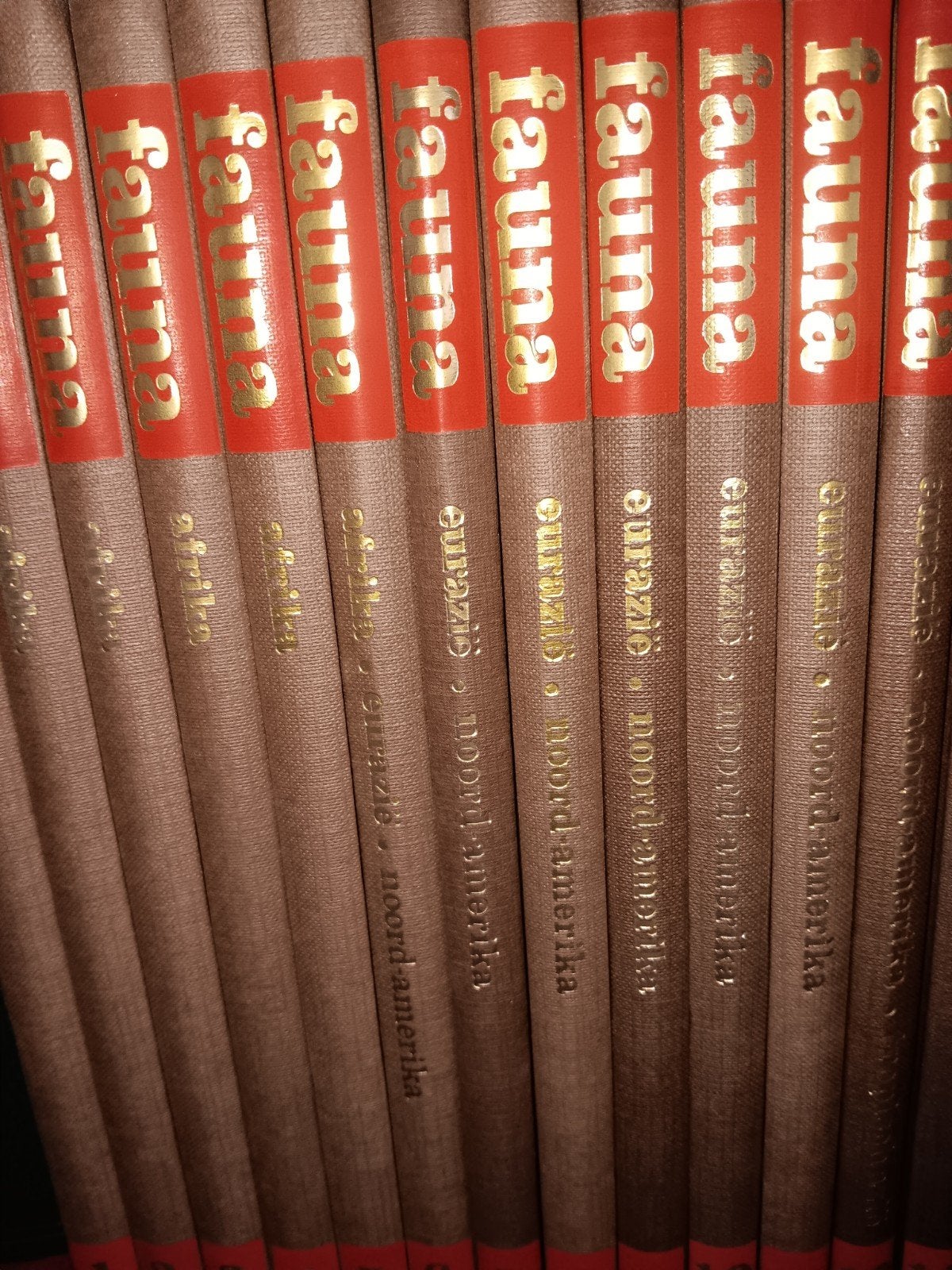 Fauna encyclopedie van 18 boeken.
In zeer goede staat., Boeken, Ophalen