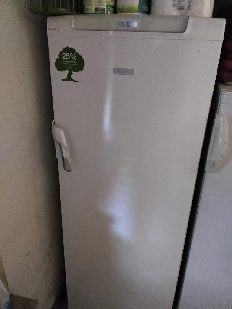 Electrolux staande diepvriezer, Electroménager, Congélateurs, Enlèvement