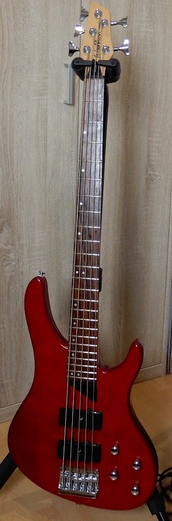 Washburn XB500, Musique & Instruments, Enlèvement, Utilisé, 5 cordes