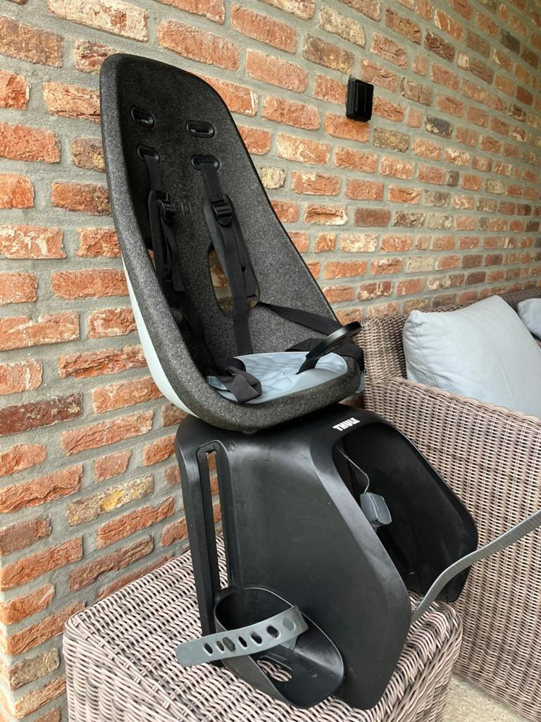 Thule Fietsstoel Yepp Nexxt Maxi grijs, Fietsen en Brommers, Fietsaccessoires | Fietsstoeltjes, Ophalen