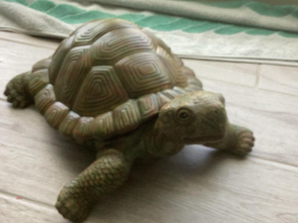 Schilpad in plaaster ,, Ophalen, Zo goed als nieuw