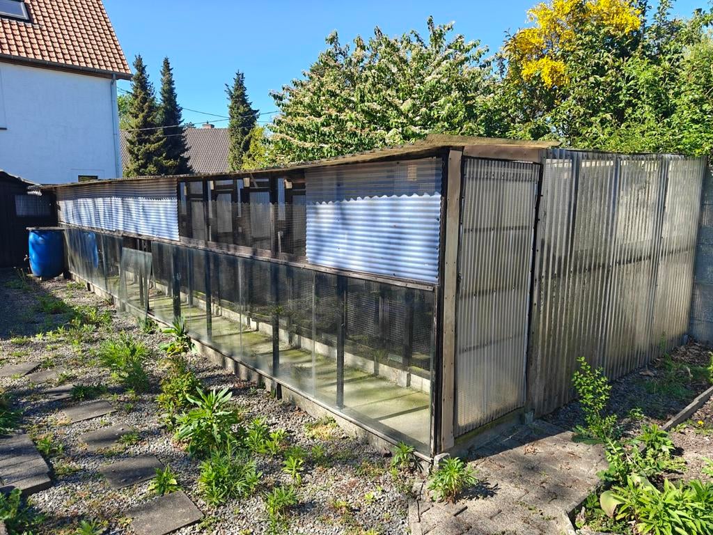 Volière 10 meter lang gratis, Ophalen, Volière