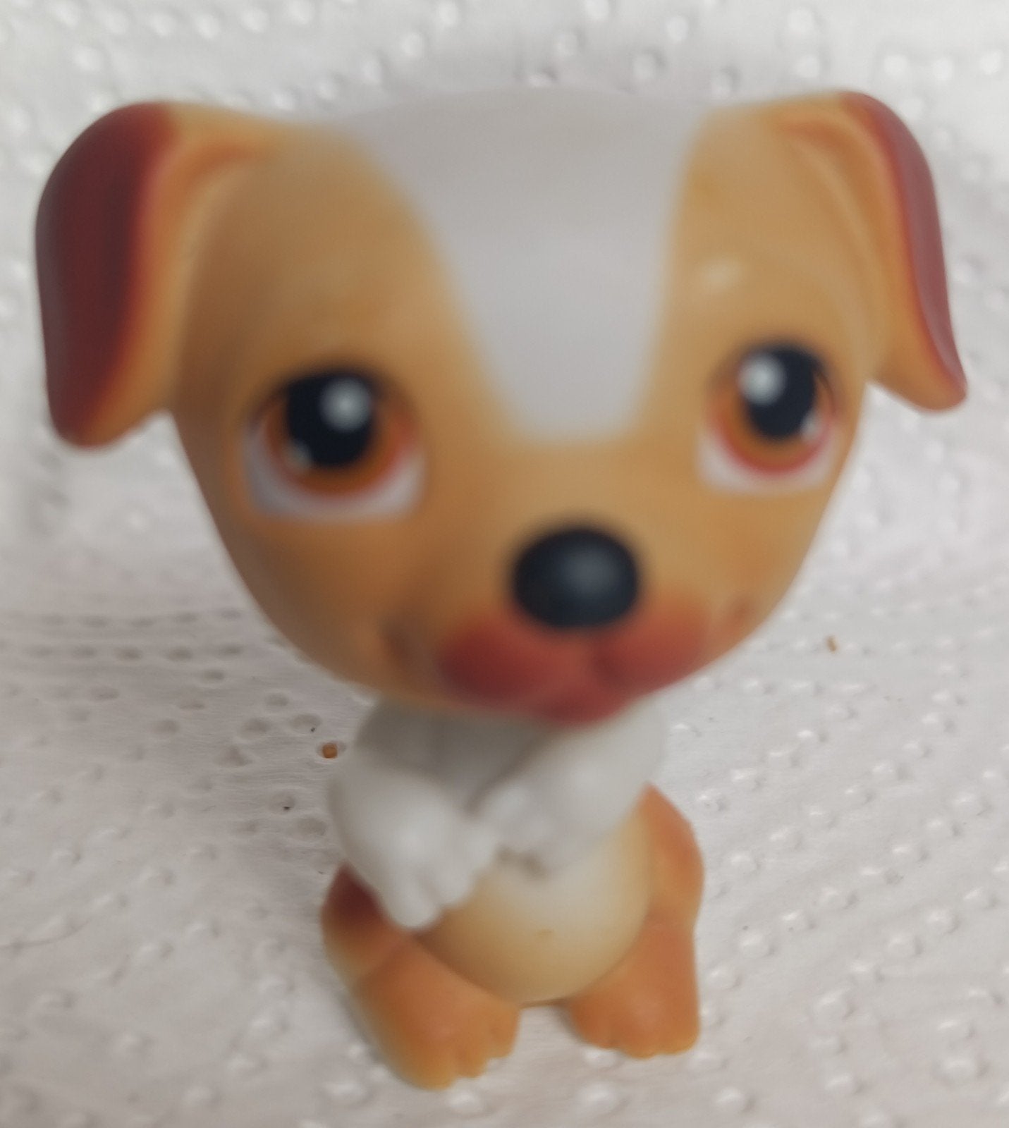 Hasbro littlest Pet Shop #40, Enlèvement ou Envoi