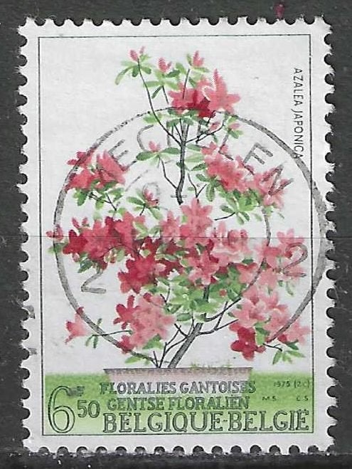 Belgie 1975 - Yvert 1743 /OBP 1751 - Gent - Floralien V (ST), Verzenden, Gestempeld, Gestempeld