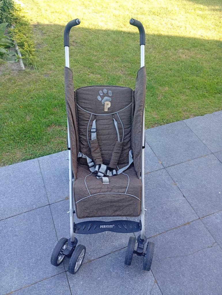 Stevige buggy (merk Pericles), Ophalen, Gebruikt, Verstelbare rugleuning