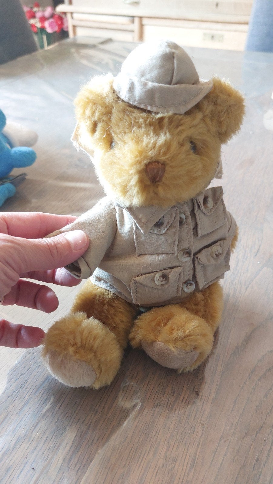 Ours de la collection  The Teddy Béarn Collection, Collections, Enlèvement ou Envoi