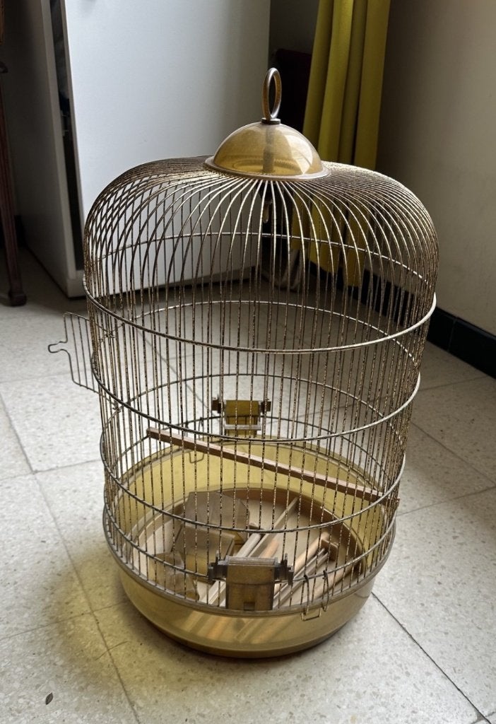 ancienne cage à oiseaux, Enlèvement, Utilisé, Métal, Cage à oiseaux