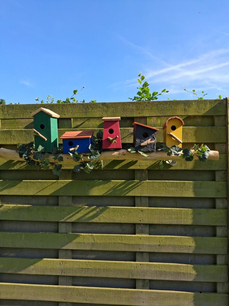 Vogelhuisjes, Dieren en Toebehoren, Ophalen