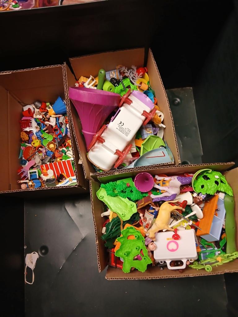 Playmobil allerlei, Enlèvement