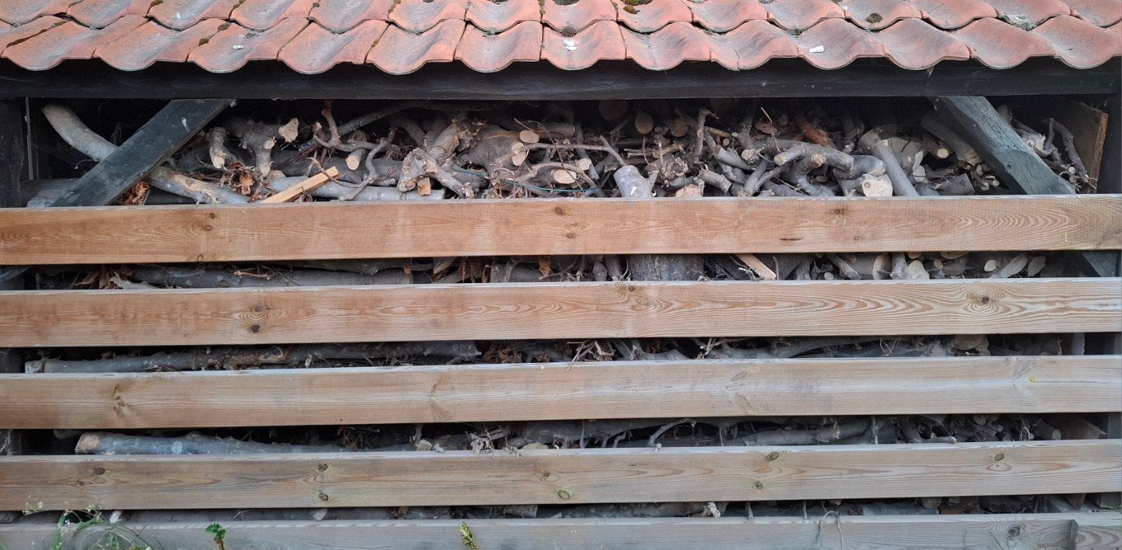 ongeveer 2 kuub haagbeuk, Moins de 3 m³, Enlèvement, Hêtre, Troncs d'arbres