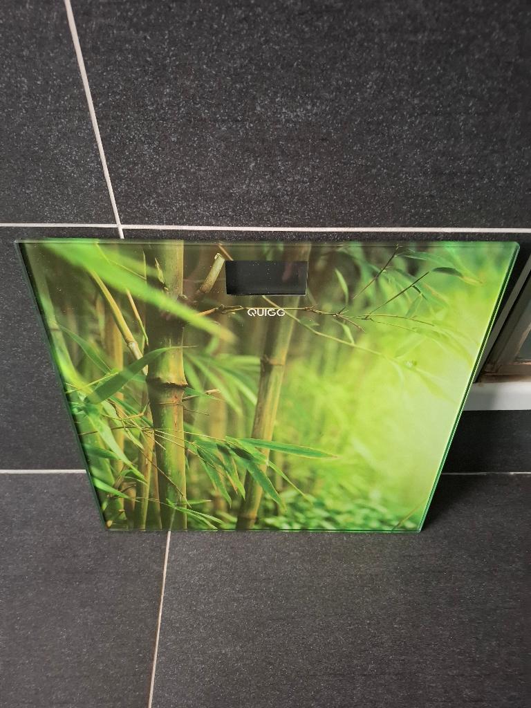 weegschaal, Elektronische apparatuur, Ophalen, 1 tot 500 gram, 50 tot 100 kg, Personenweegschaal