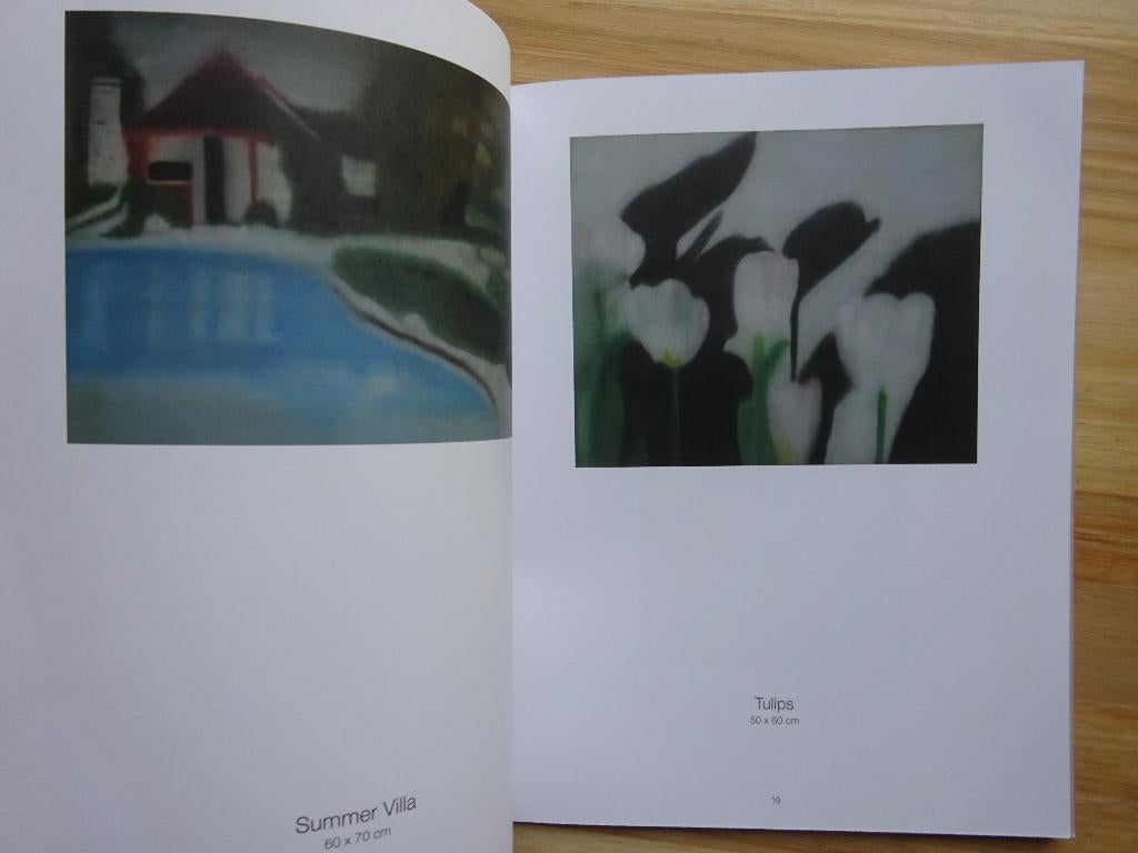 Xavier Tricot, paintings, 2011 Vison publishers, Boeken, Ophalen of Verzenden, Zo goed als nieuw, Schilder- en Tekenkunst