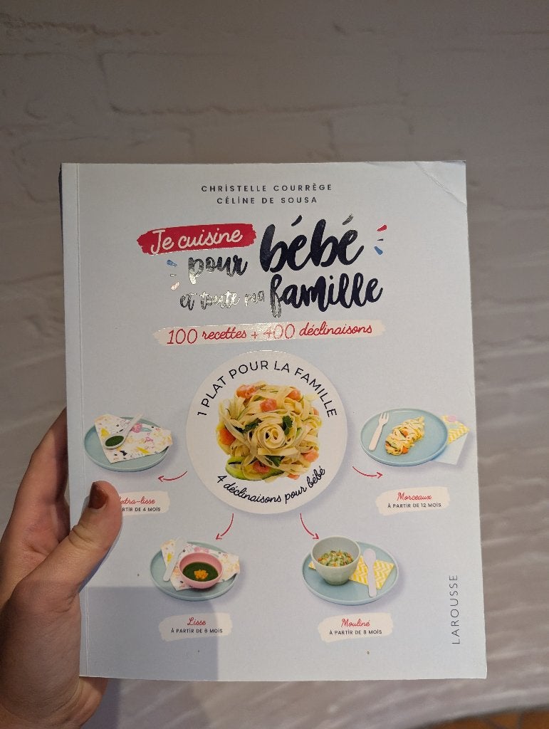Kookboek voor gezin met baby's en peuters, Ophalen, Zo goed als nieuw, Europa