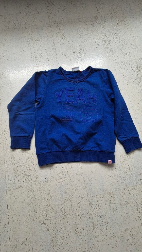trui, Kinderen en Baby's, Ophalen of Verzenden, Gebruikt, Jongen, Trui of Vest