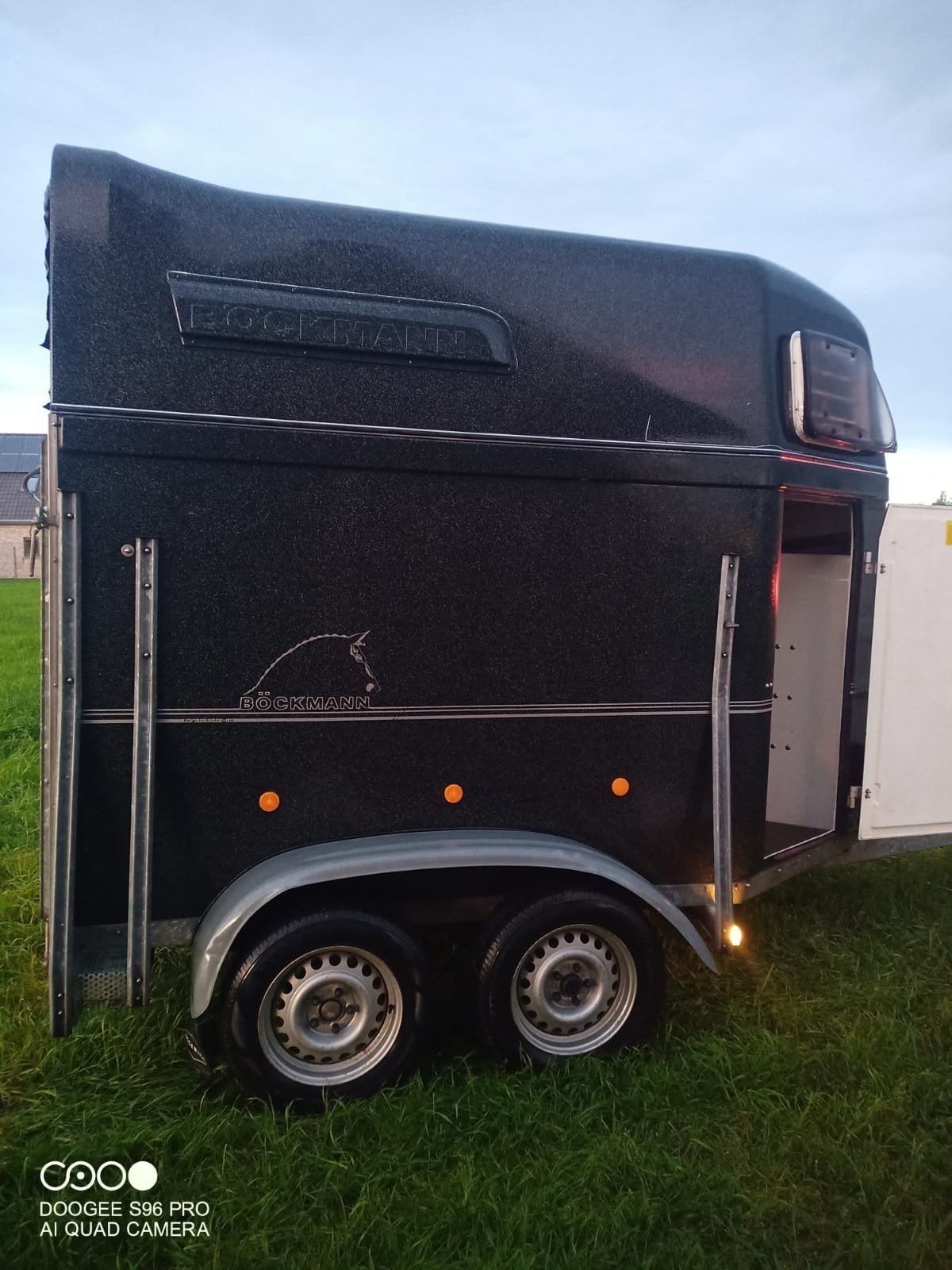 2paardstrailer van het merk Bockmann comfort, Dieren en Toebehoren, Ophalen