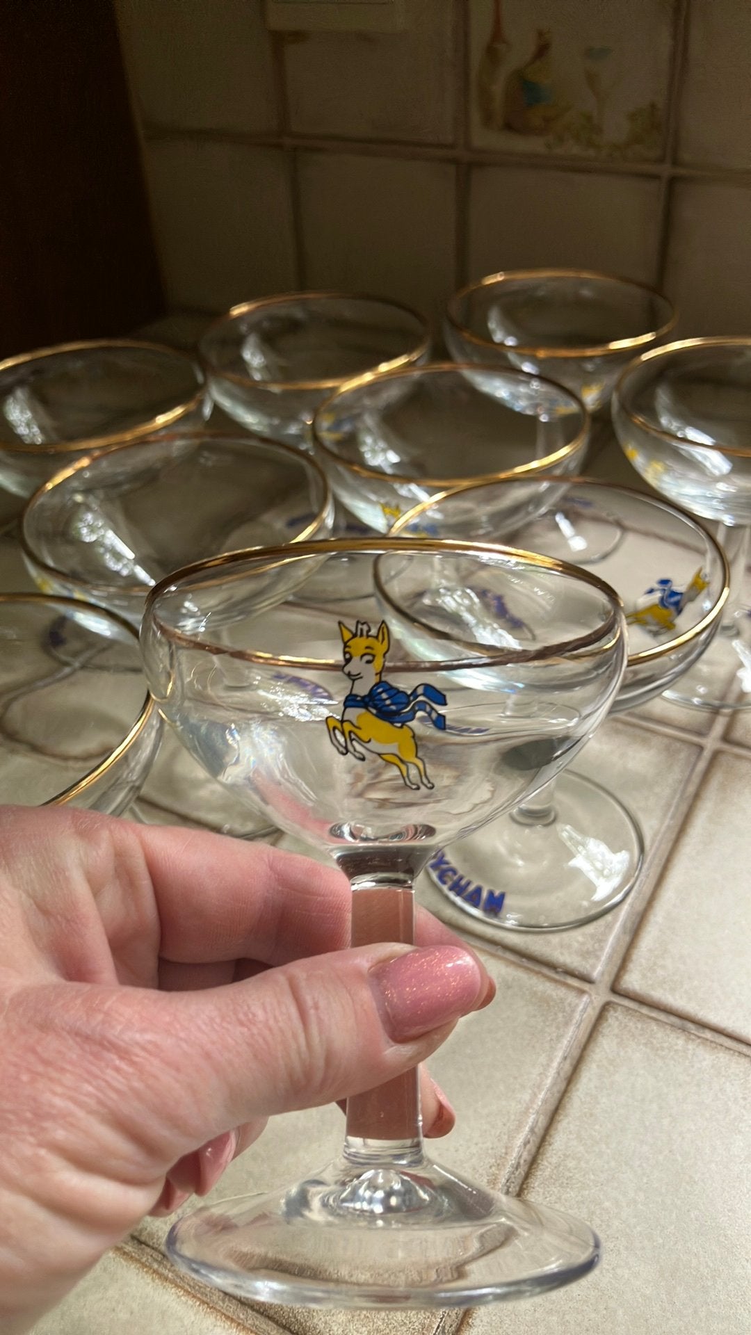 Unieke Set van 9 Vintage Babycham Champagne Coupes ‘70 Goud, Ophalen of Verzenden, Zo goed als nieuw
