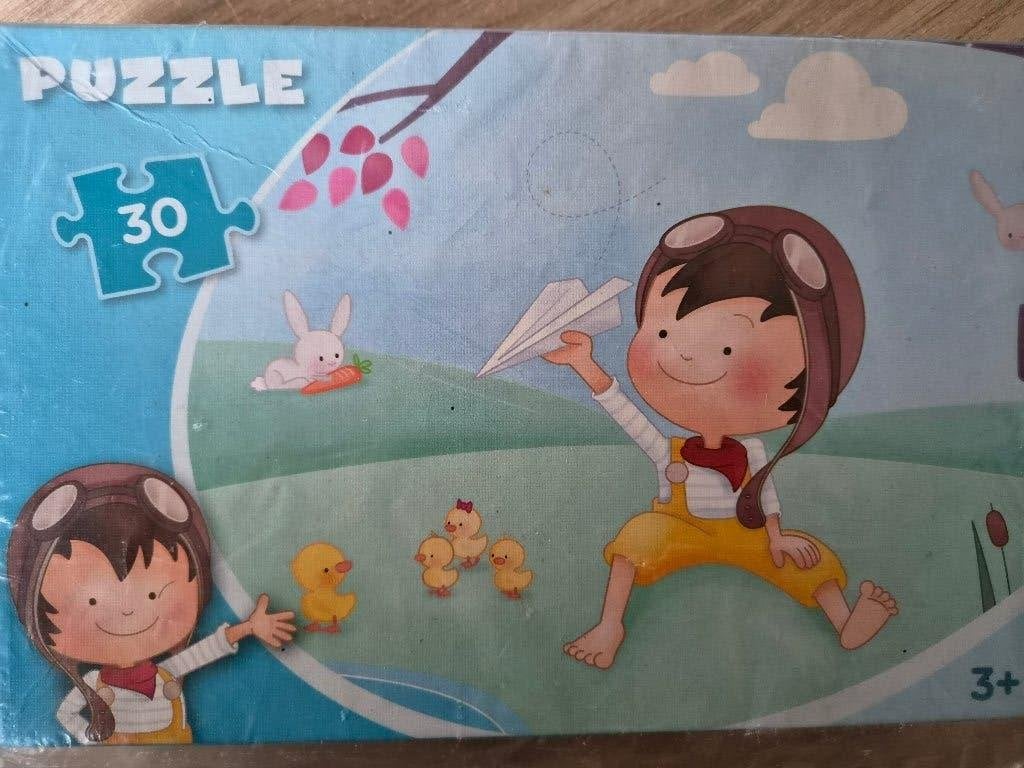 Puzzel jongen met vlieger, Ophalen