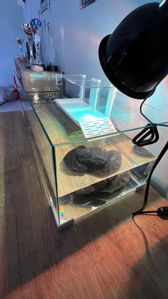 Aquarium met alle toebehoren en schildpad, Ophalen, Filter