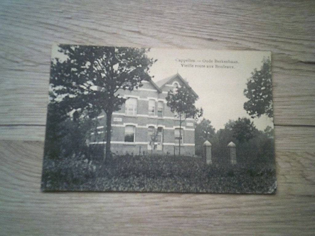 CAPELLEN / KAPELLEN: Oude Berkenbaan, Ophalen of Verzenden, Voor 1920, Gelopen, Antwerpen