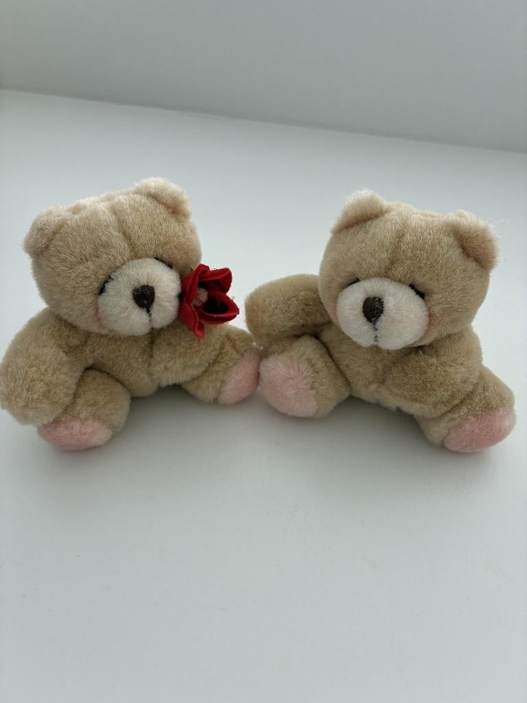 Des ours pour toujours, amis, Collections, Ours & Peluches, Enlèvement ou Envoi, Comme neuf, Ours en tissus, Forever Friends