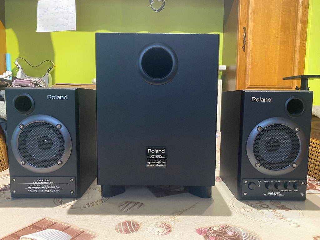 Roland DM-2100 Speakers, Muziek en Instrumenten, Ophalen, Gebruikt, Roland