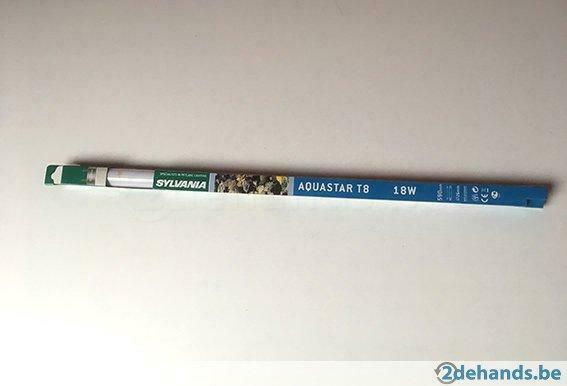 Aquariumlamp vis: Sylvania Aquastar T8 10000K, L= 59cm, Dieren en Toebehoren, Ophalen, Nieuw
