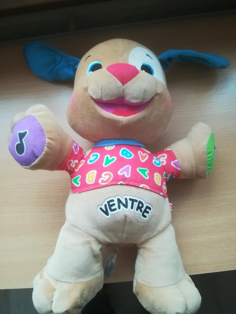 Peluche fisher price chien jeux interactifs état impeccable, Ophalen, Gebruikt, Hond