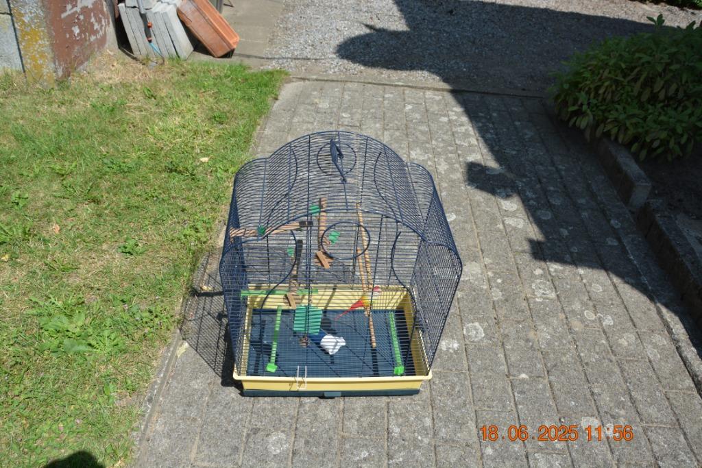 Vogelkooi, Enlèvement, Utilisé, Synthétique, Cage à oiseaux