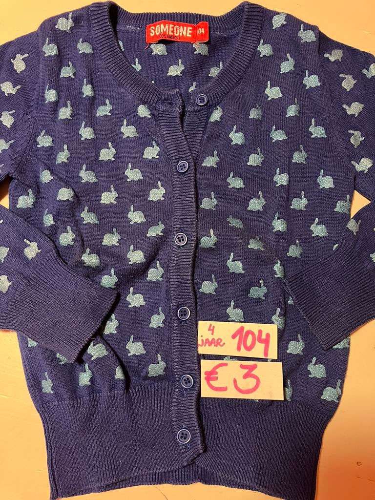 Someone maat 104 trui konijnen, Ophalen of Verzenden
