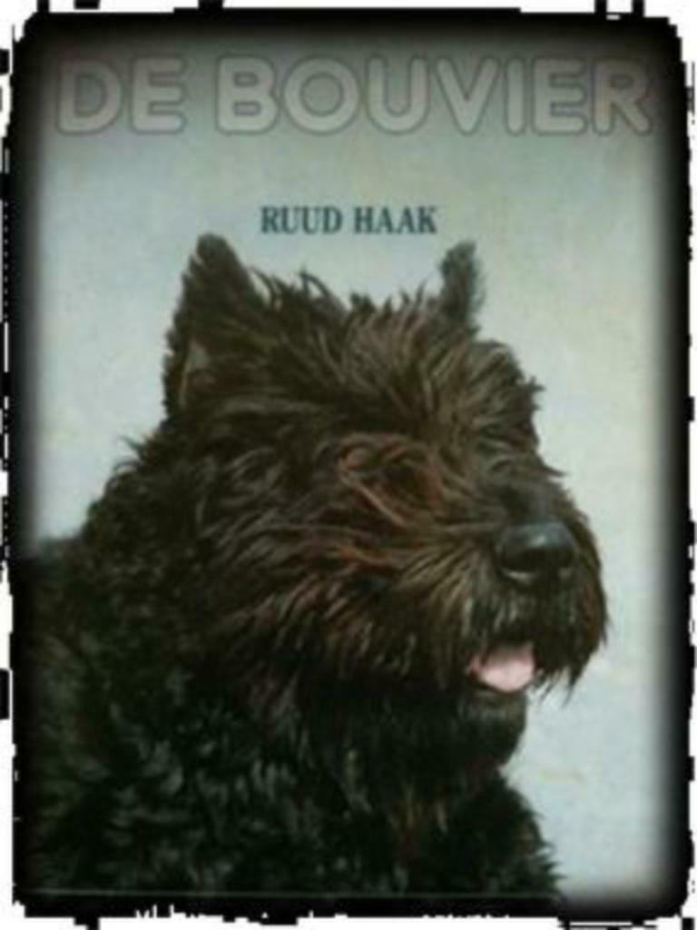 De Bouvier, Ruud Haak,, Ophalen of Verzenden, Gelezen, Honden