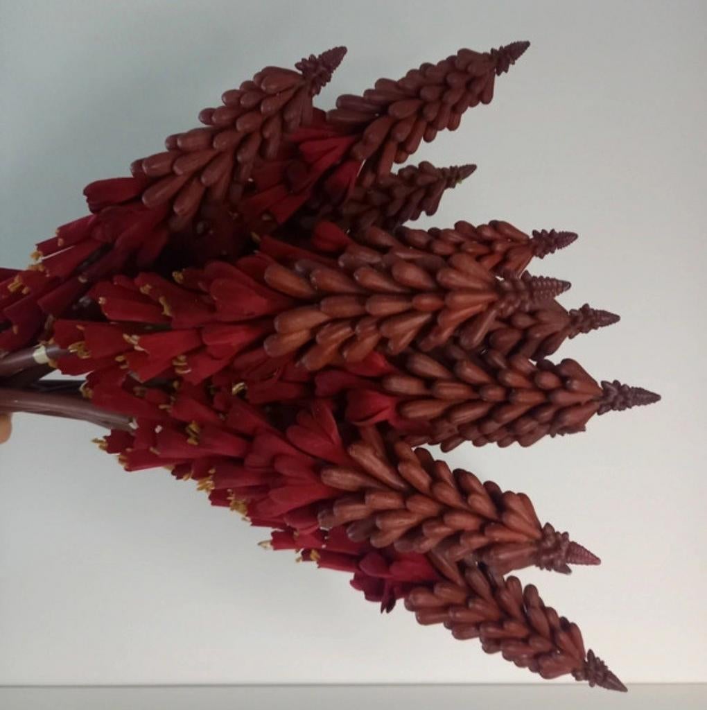 12 kunstbloemen rood (lang), Enlèvement ou Envoi