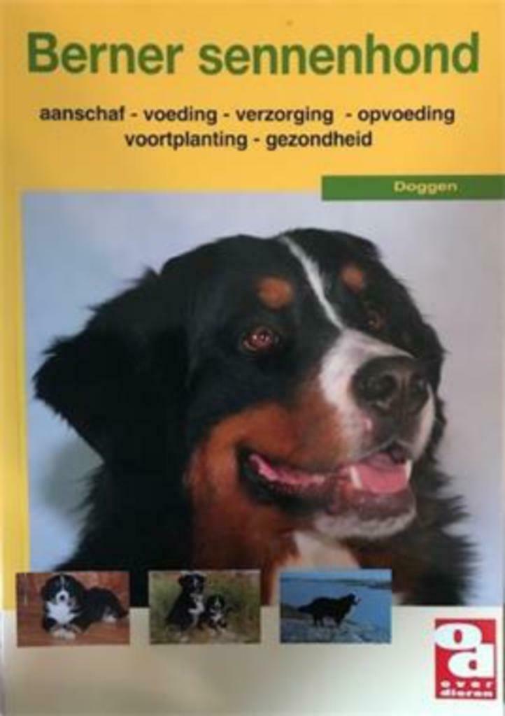 De Berner sennenhond, Doggen, Livres, Animaux & Animaux domestiques, Utilisé, Chiens, Enlèvement ou Envoi