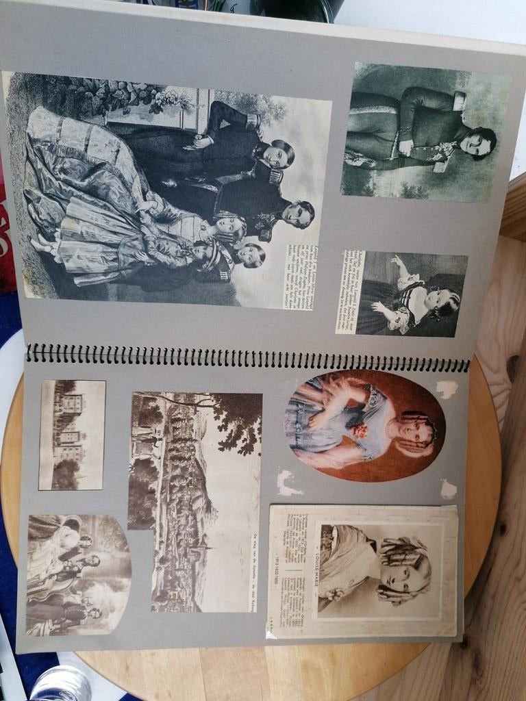 Oud plakboek met krantenknipsels koningshuis, Enlèvement ou Envoi, Utilisé